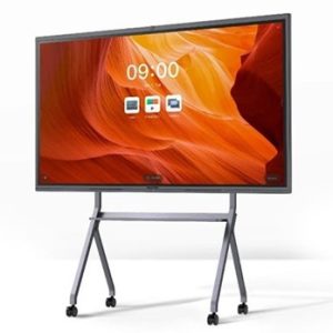 MAX HUB MONITOR E6520